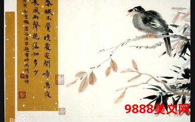 一禽定音小说全文免费阅读、《鸟鸣传乐,百鸟竞飞》 一禽定音小说全文免费阅读、《鸟鸣传乐,百鸟竞飞》