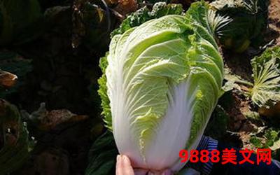 成了霸总的心尖宠半截白菜txt下载―心尖宠成霸总,半截白菜txt下载等你来 成了霸总的心尖宠半截白菜txt下载―心尖宠成霸总,半截白菜txt下载等你来