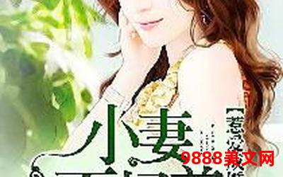 妻控小说在线阅读-妻控小说在线阅读，燃起你的爱情激情