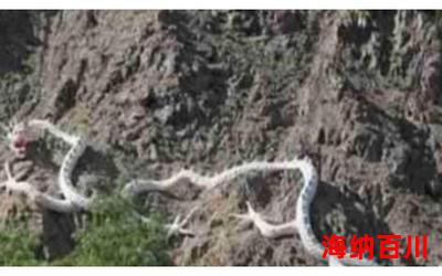 昆仑山螳螂人事件全文阅读-昆仑山螳螂人事件免费阅读-昆仑山螳螂人事件最新章节免费在线无弹窗阅读 昆仑山螳螂人事件全文阅读-昆仑山螳螂人事件免费阅读-昆仑山螳螂人事件最新章节免费在线无弹窗阅读